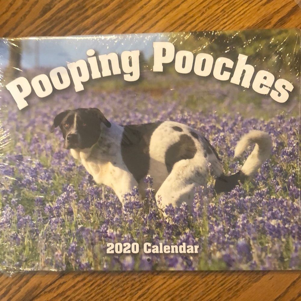 NWT 2020 calendar Pooping Pooches